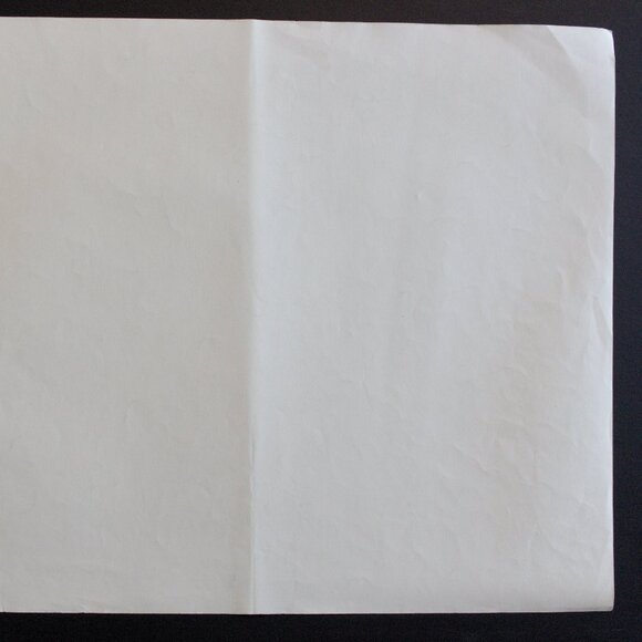 WASHING WHEAT — SAN JUAN #64 Edward Sheriff Curtis Print - Picture 7 of 15